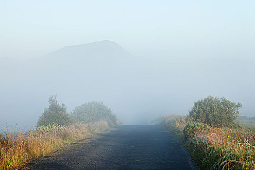 空,湿地,道路,雾气,上方,山,多纳格,爱尔兰