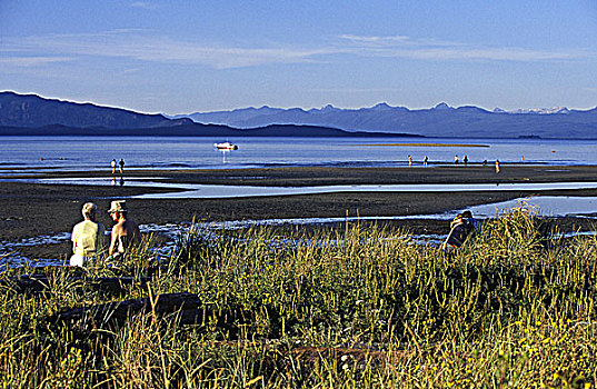 海滩,老年,夫妻,坐,原木上,温哥华岛,不列颠哥伦比亚省,加拿大