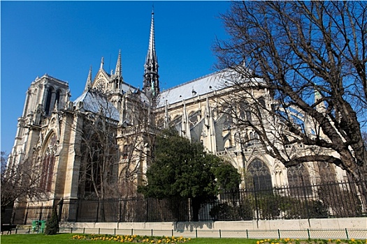 圣母大教堂,中心,巴黎,法国,晴天