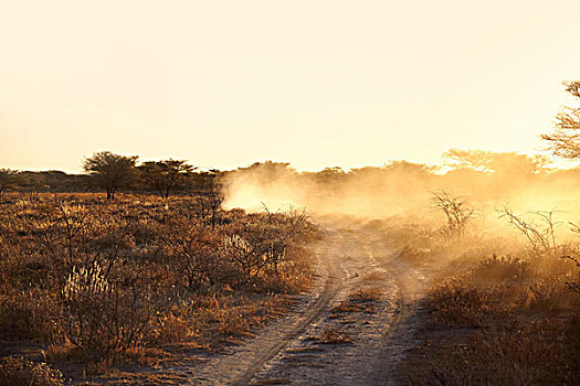 尘土,干燥,朴素,土路,日落,纳米比亚,非洲
