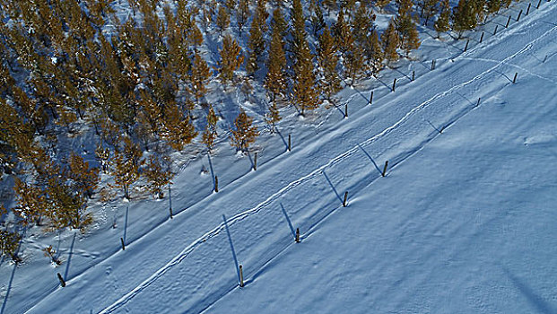 东天山雪景美如画