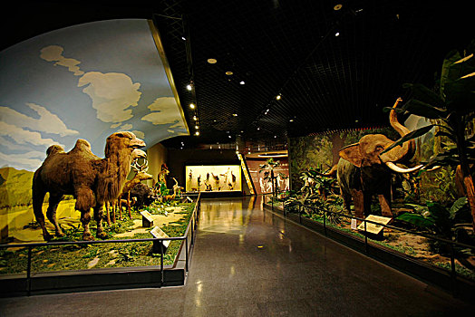 天津文化中心,天津自然博物馆