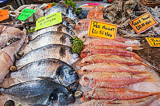 英格兰,伦敦,南华克,博罗市场,鱼肉,货摊,展示,羊鱼,海鲷