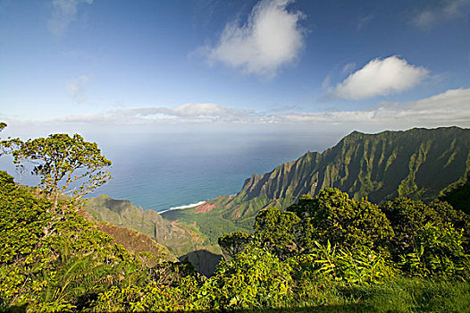 美国,考艾岛,风景,巴利,海岸线