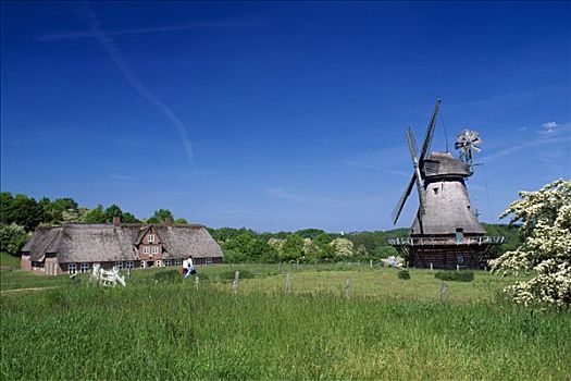风车,露天博物馆,石荷州,德国,欧洲