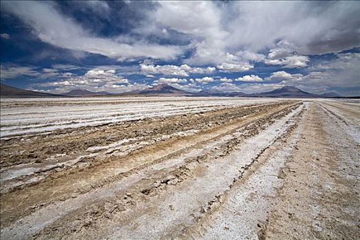 轨迹,盐湖,高原,玻利维亚,南美