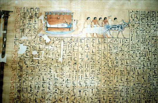 纸莎草,古埃及,书本,死,艺术家,未知