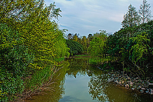 上海宝山炮台湾湿地公园风光