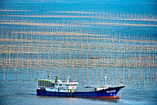 福建霞浦,海,渔船,劳作