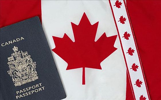 加拿大,象征,旗帜,护照,带