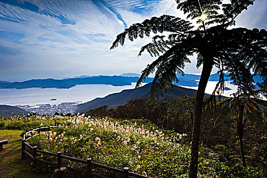 观测,岛屿,鹿儿岛,日本