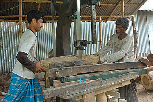 锯木厂,孟加拉,四月,2008年
