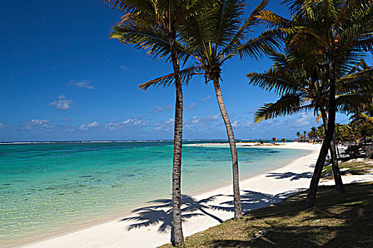 毛里求斯,东海岸,弯曲,海滩,青绿色,水