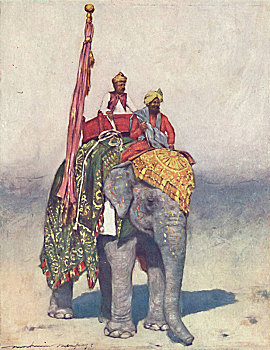 大象,斋浦尔,艺术家