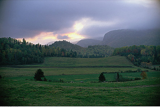 俯视,风景,树