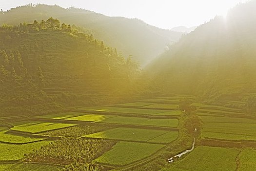 稻米梯田,桂林,广西壮族自治区,中国