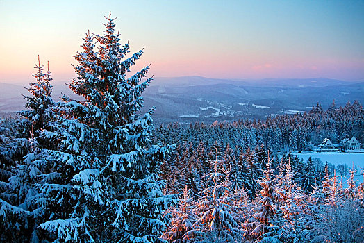 冬季风景,冬天,靠近,北莱茵威斯特伐利亚