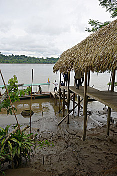 厄瓜多尔,河,亚马逊河,住宿,码头,堤岸,大幅,尺寸