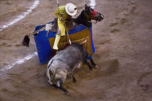 俯拍,斗牛,阿瓜斯卡连特斯,墨西哥