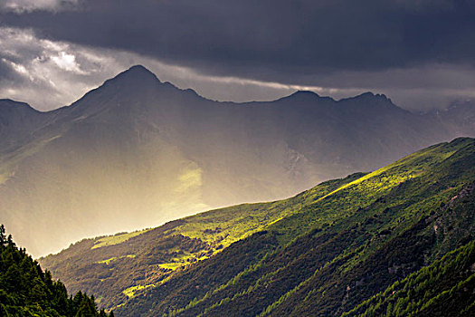 夏天的山野四姑娘山