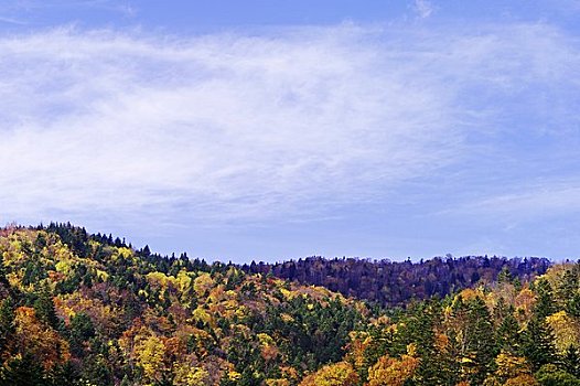 彩色,山,蓝天