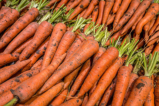 蔬菜,菜市场,生鲜,有机蔬菜,胡萝卜