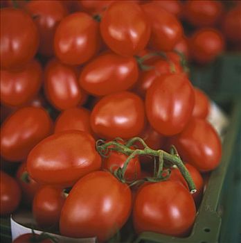 犁形番茄,板条箱,市场