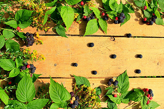 黑色,树莓,浆果,叶子,木板