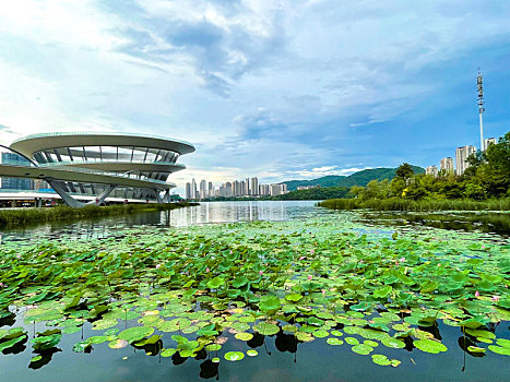 长沙梅溪湖城市岛风光