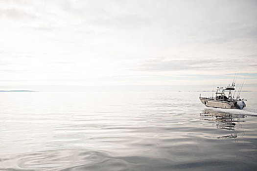 渔船,峡湾,挪威