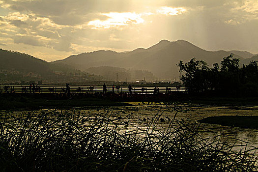 滇池湿地风光