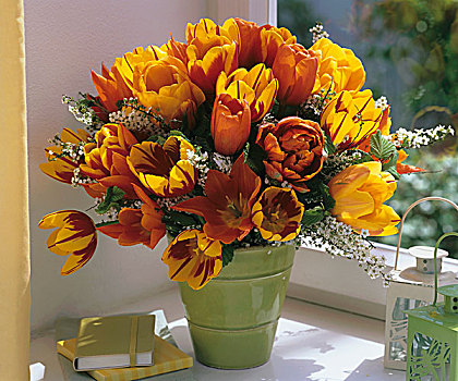 花瓶,郁金香,绣线菊属,褐色,叶子