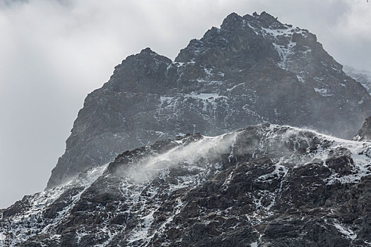 雪,山,米尔福德峡湾,道路,新西兰