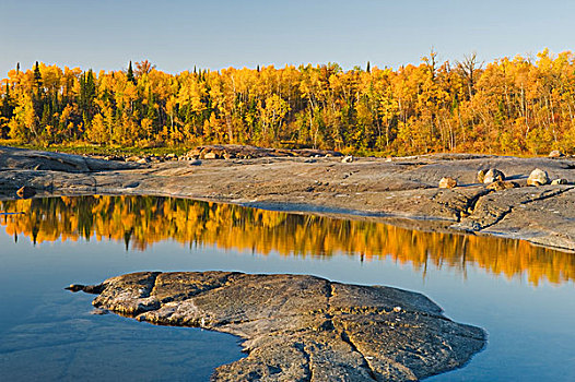 秋天,河,靠近,曼尼托巴,加拿大