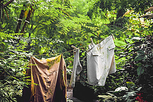 脏,洗衣服,线,丛林