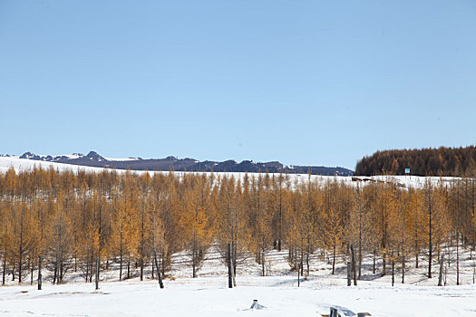 雪后天山美景