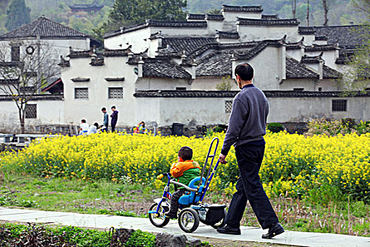 西递,乡村,古村落,春天,建筑,民居0017