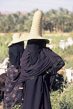 也门,旱谷,哈德拉毛,靠近,女人,帽子,放牧,山羊