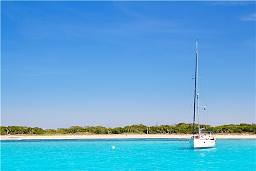 帆船,青绿色,海滩,福门特拉岛
