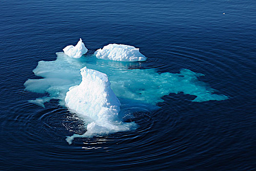 浮冰,格陵兰,海洋,北冰洋,北极