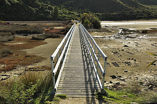 沙,湾,国家公园,南岛,新西兰