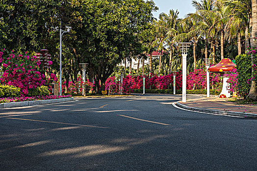 开满红花的道路