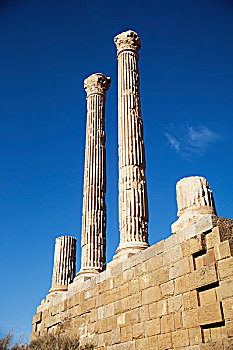 两个,圆柱,首都,提姆加德,靠近,阿尔及利亚
