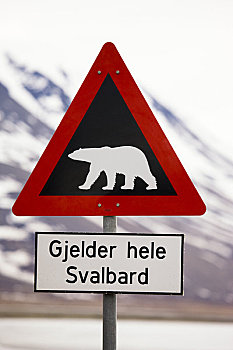 北极熊,警告标识,朗伊尔城,斯匹次卑尔根岛,挪威