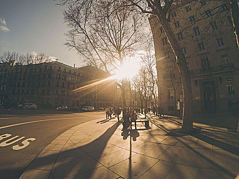 马德里,阿卡拉大街,街景,太阳,逆光