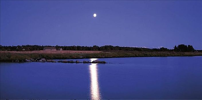 月亮,满月,夜晚,海岸,海洋,瑞典,斯堪的纳维亚,欧洲