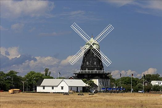 风车,一个,世界,厄兰岛,瑞典,斯堪的纳维亚,欧洲
