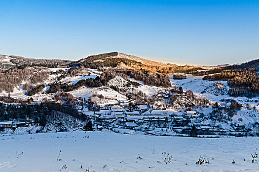 雪地,树林,村庄,雪村