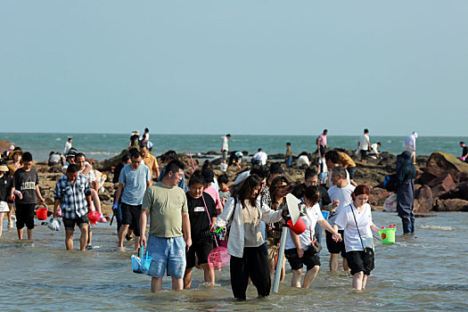 太壮观,万人赶海大军浩浩荡荡登陆太公岛,尽情享受快乐时光