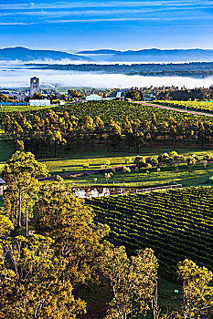 鸟瞰,葡萄酒的国家,附近的,魄可宾,猎人谷,新南威尔士,澳大利亚